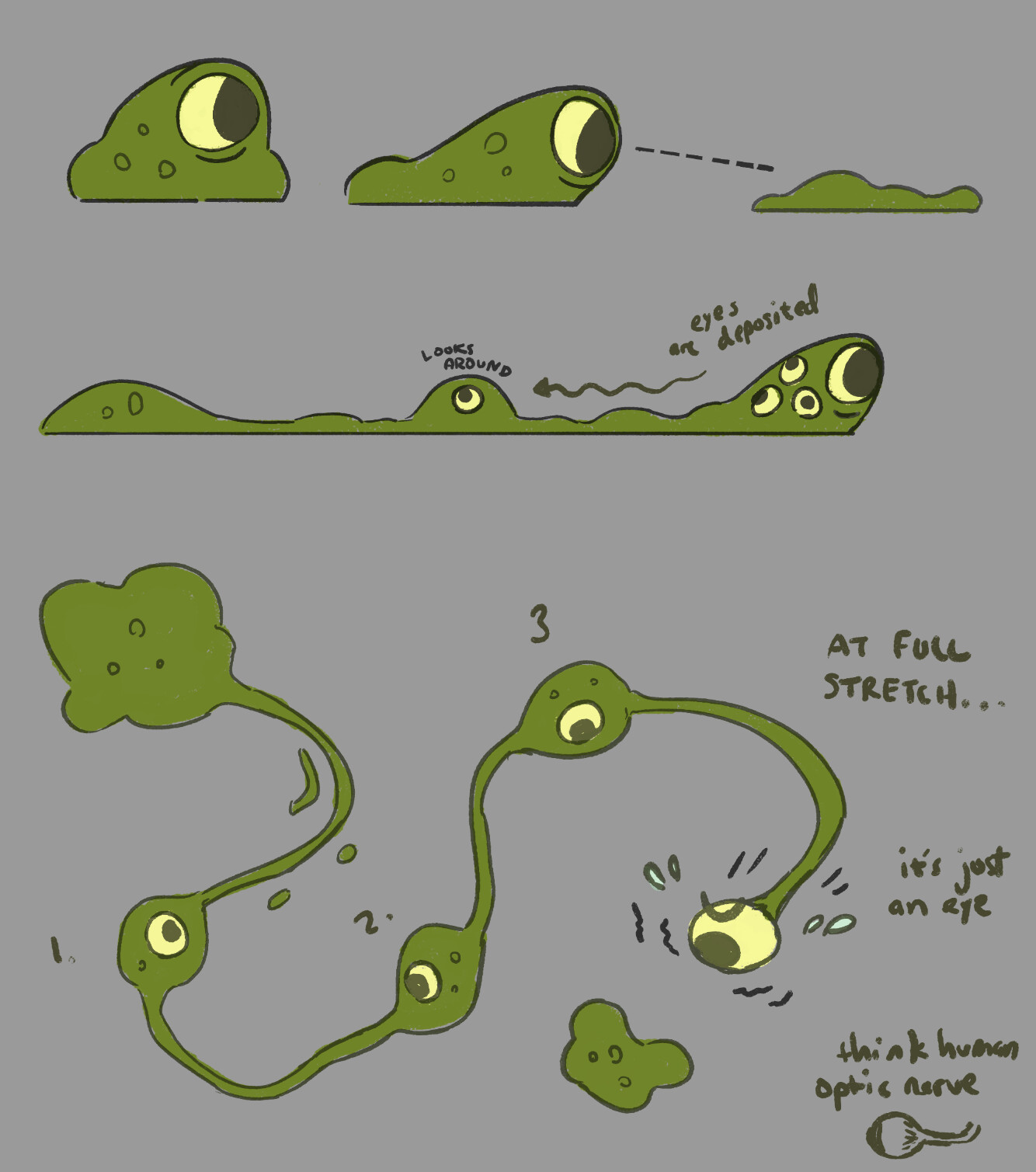 More fleshed out for the free-form locomotion. The character stretches out from a stationary point and additional eyeballs allows them to stretch farther. 