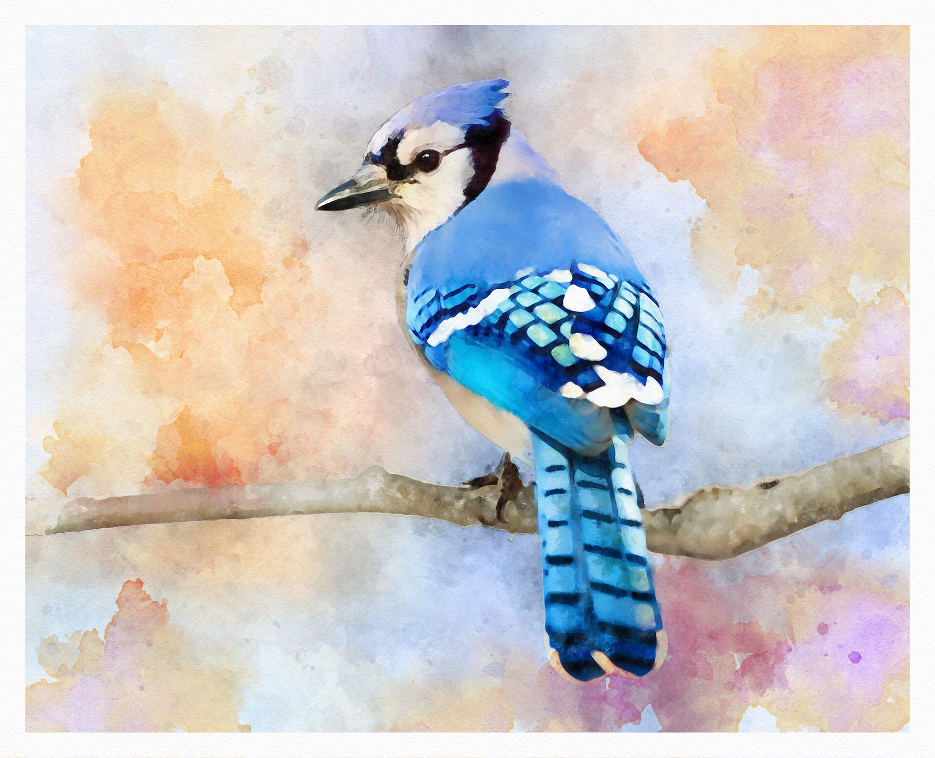 Artstation Blue Jay Digital Watercolor Robert Smiley