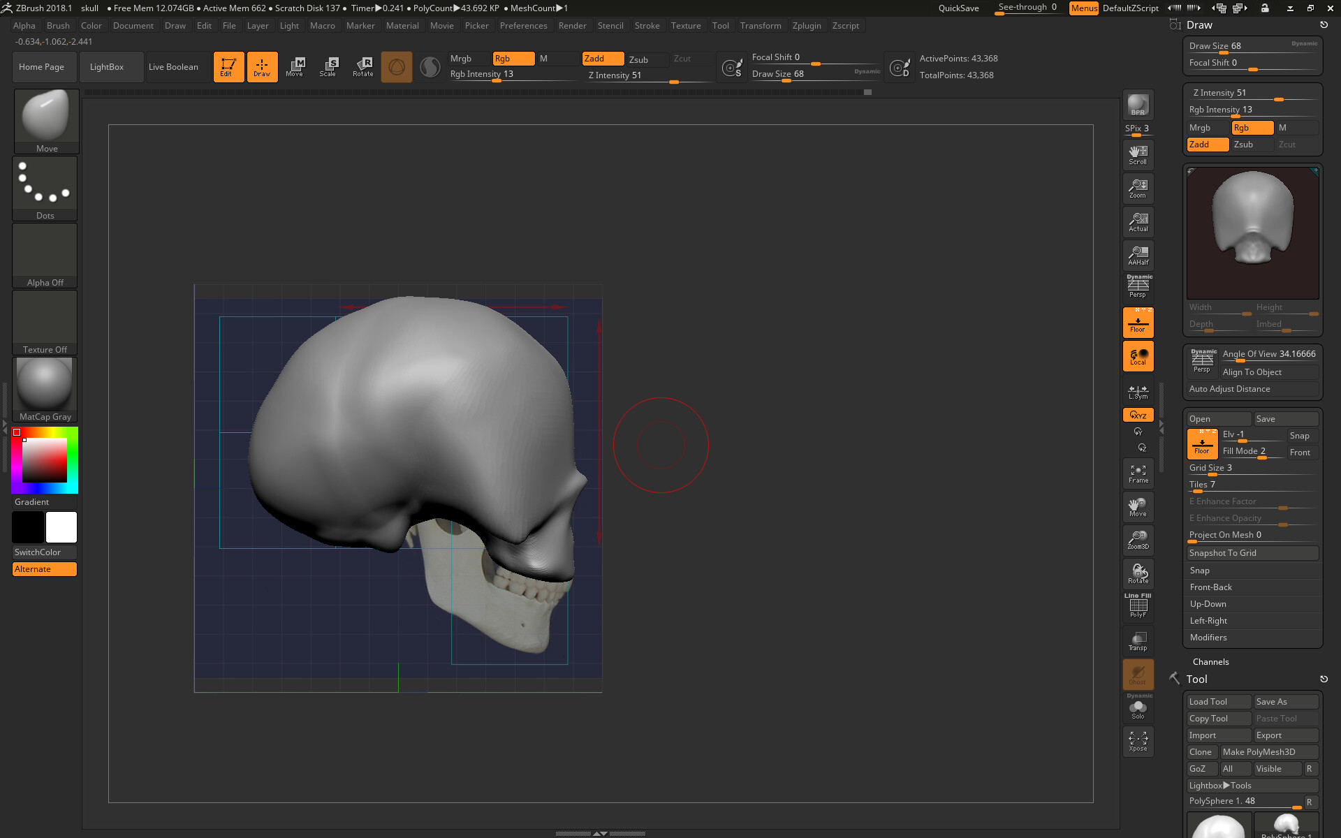 Adam Mason Skull Model