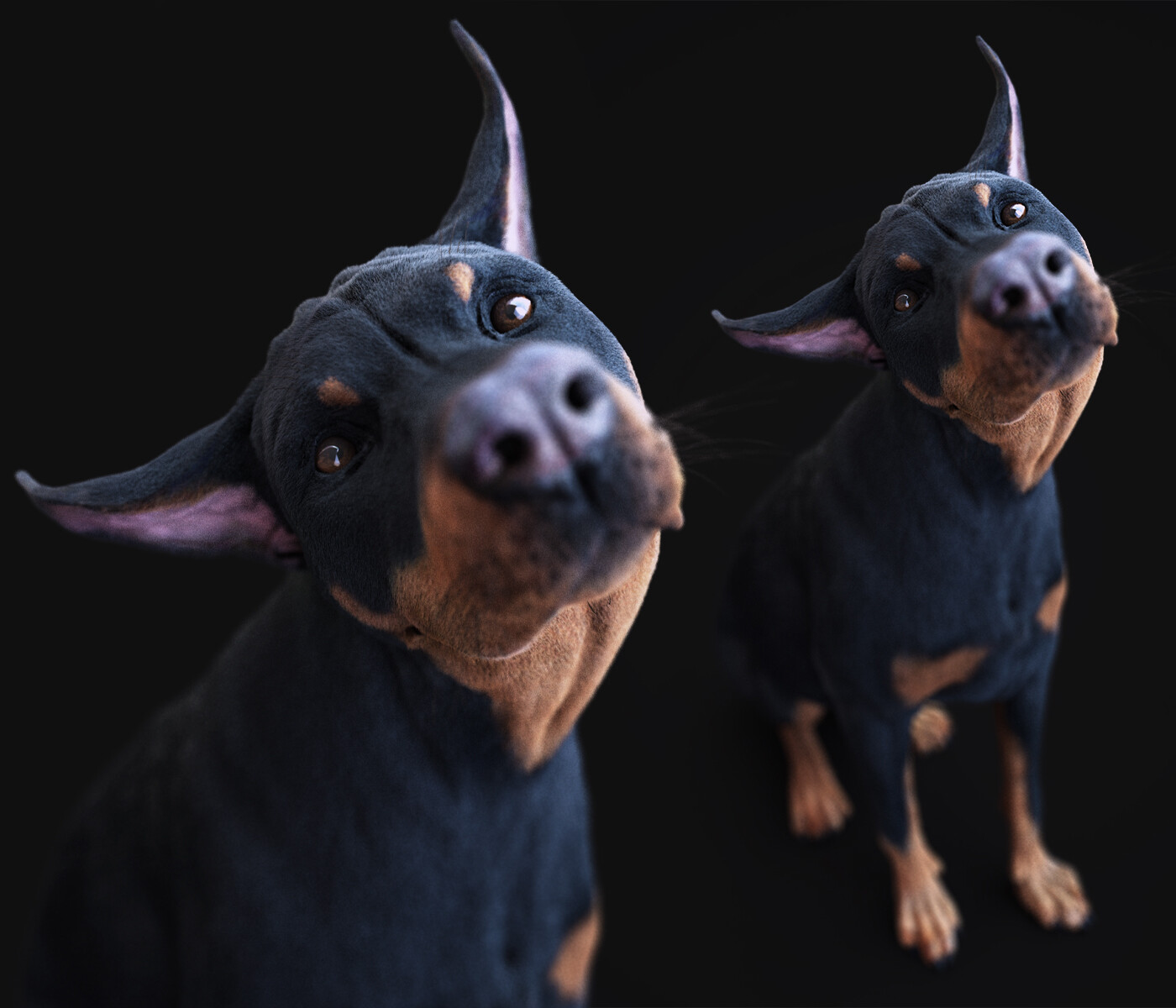 Dobe 02