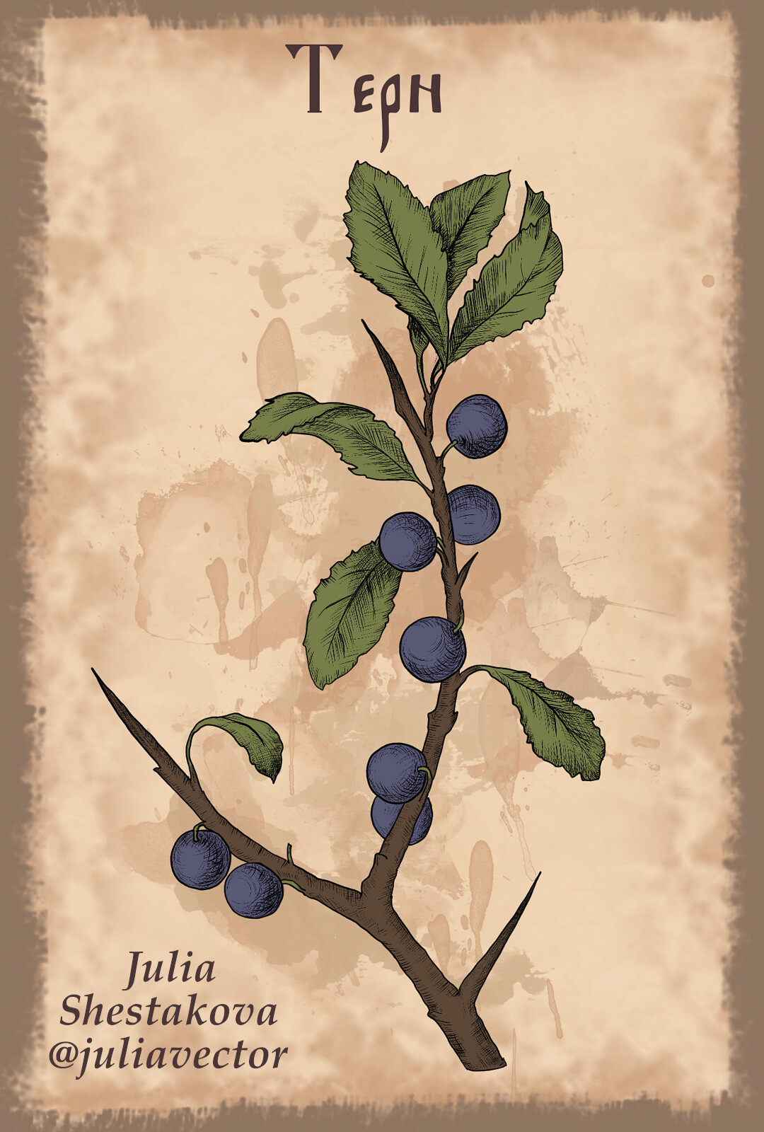 Tiberius Blackthorn - Thistle and Applethorn Greeting Card for