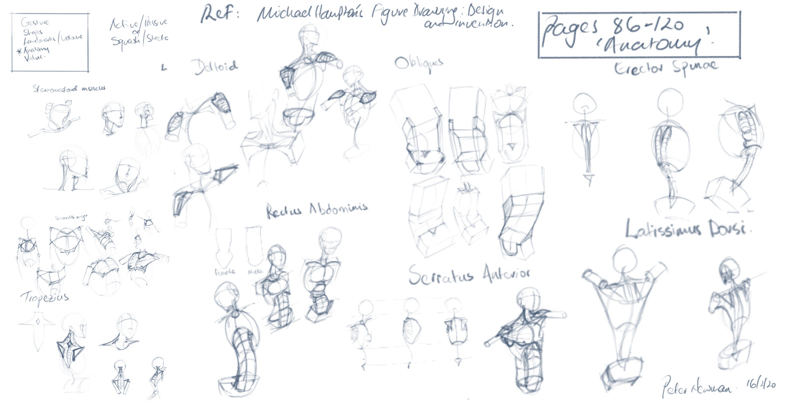 Artstation Figure Sketching Peter Newman