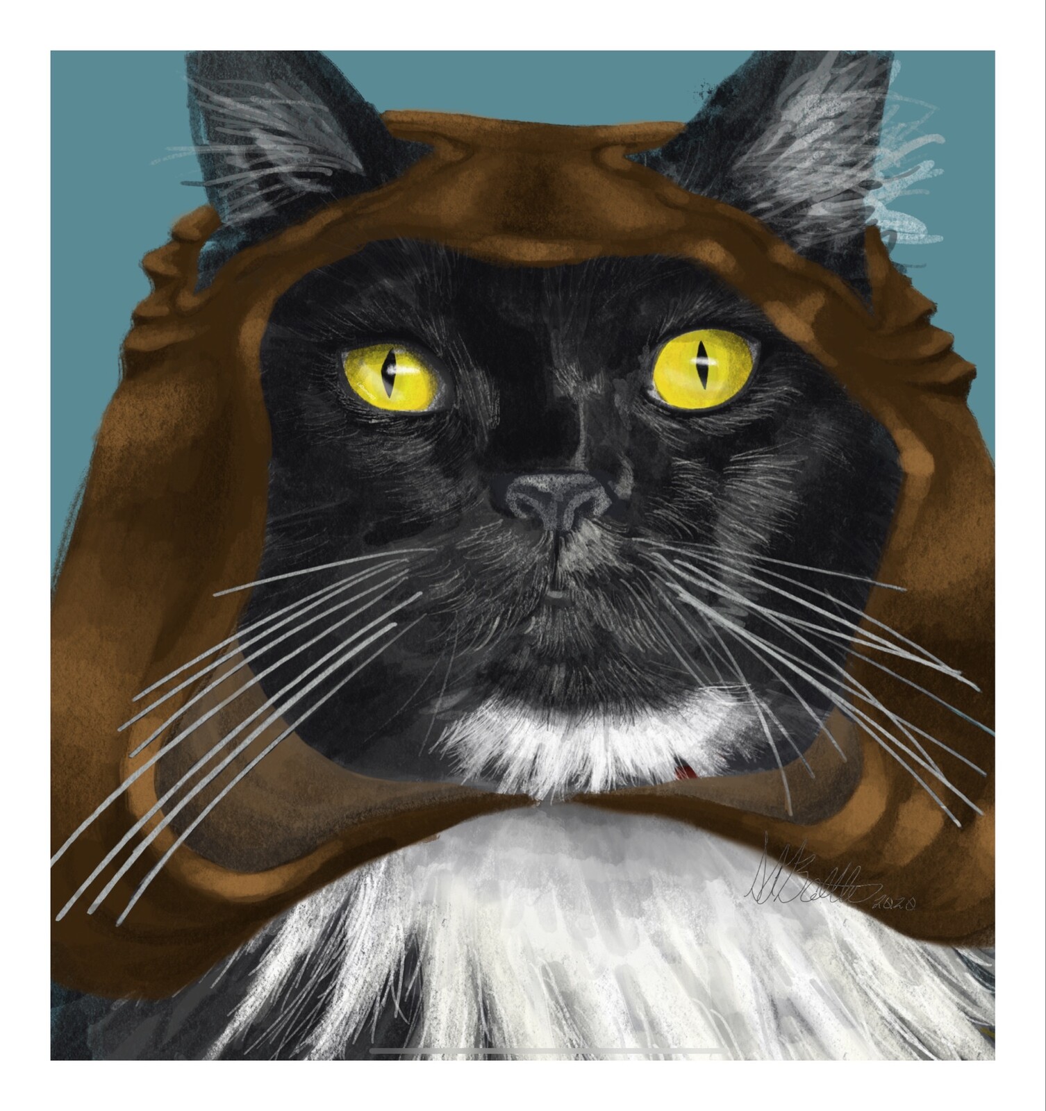 Two-Bit the Clumsy Cat Burglar