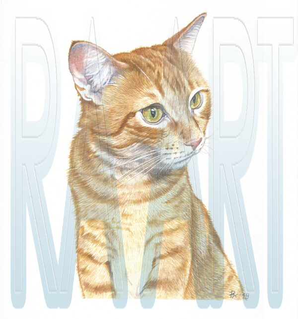 ArtStation - Cat Oliver