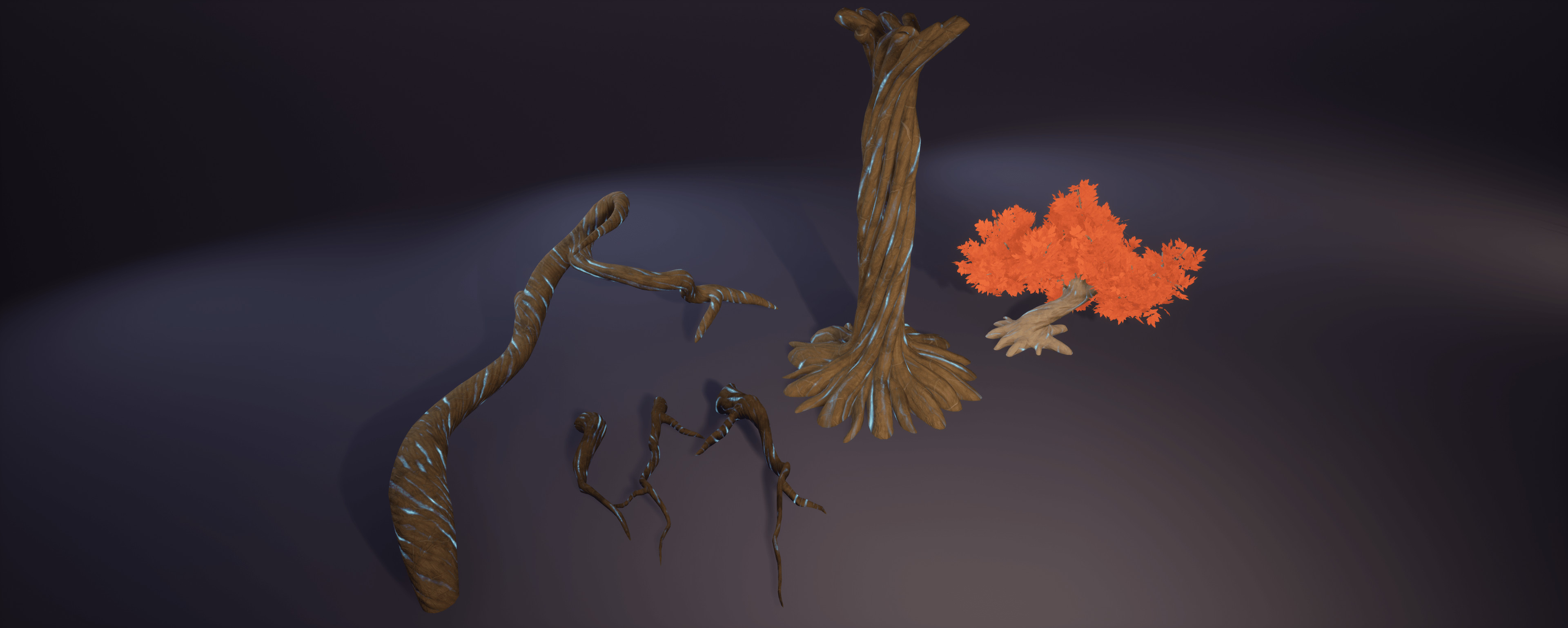 Display of my roots and tree asset.
