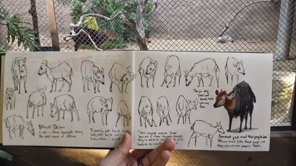 Как нарисовать зоопарк