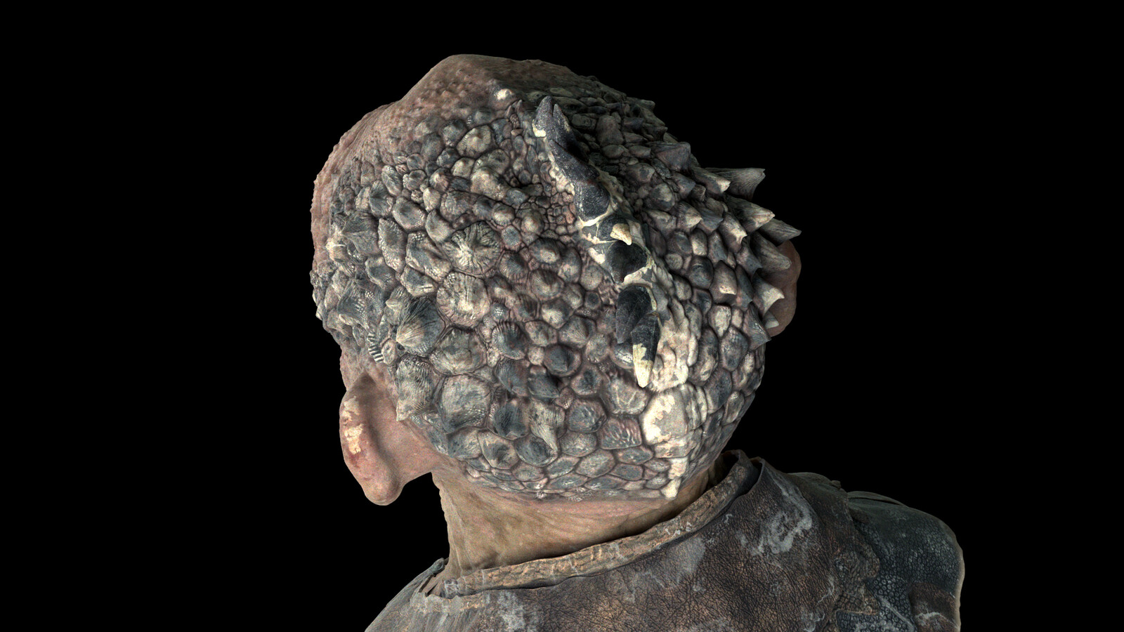 closeup
