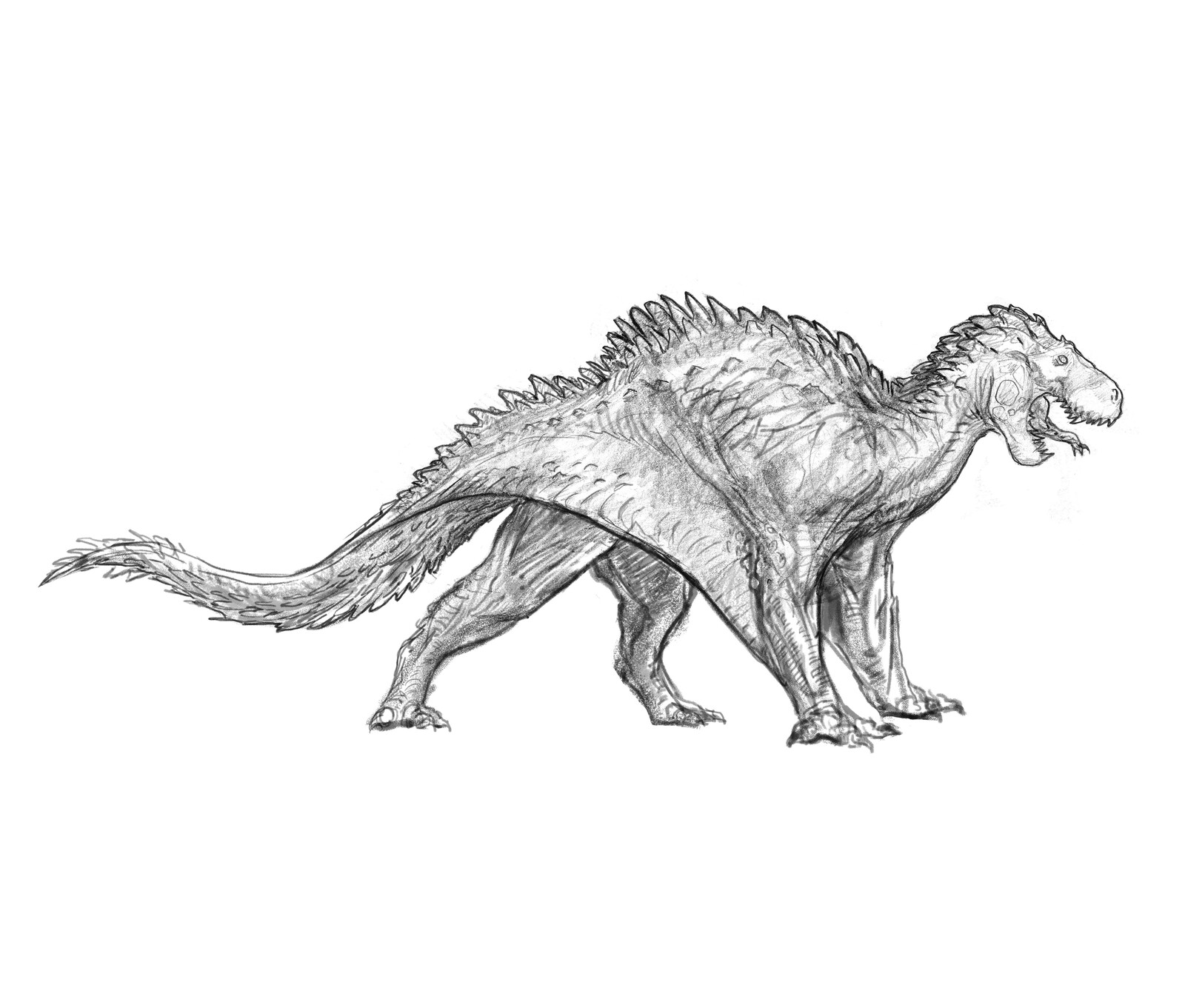 Dragon Sketches