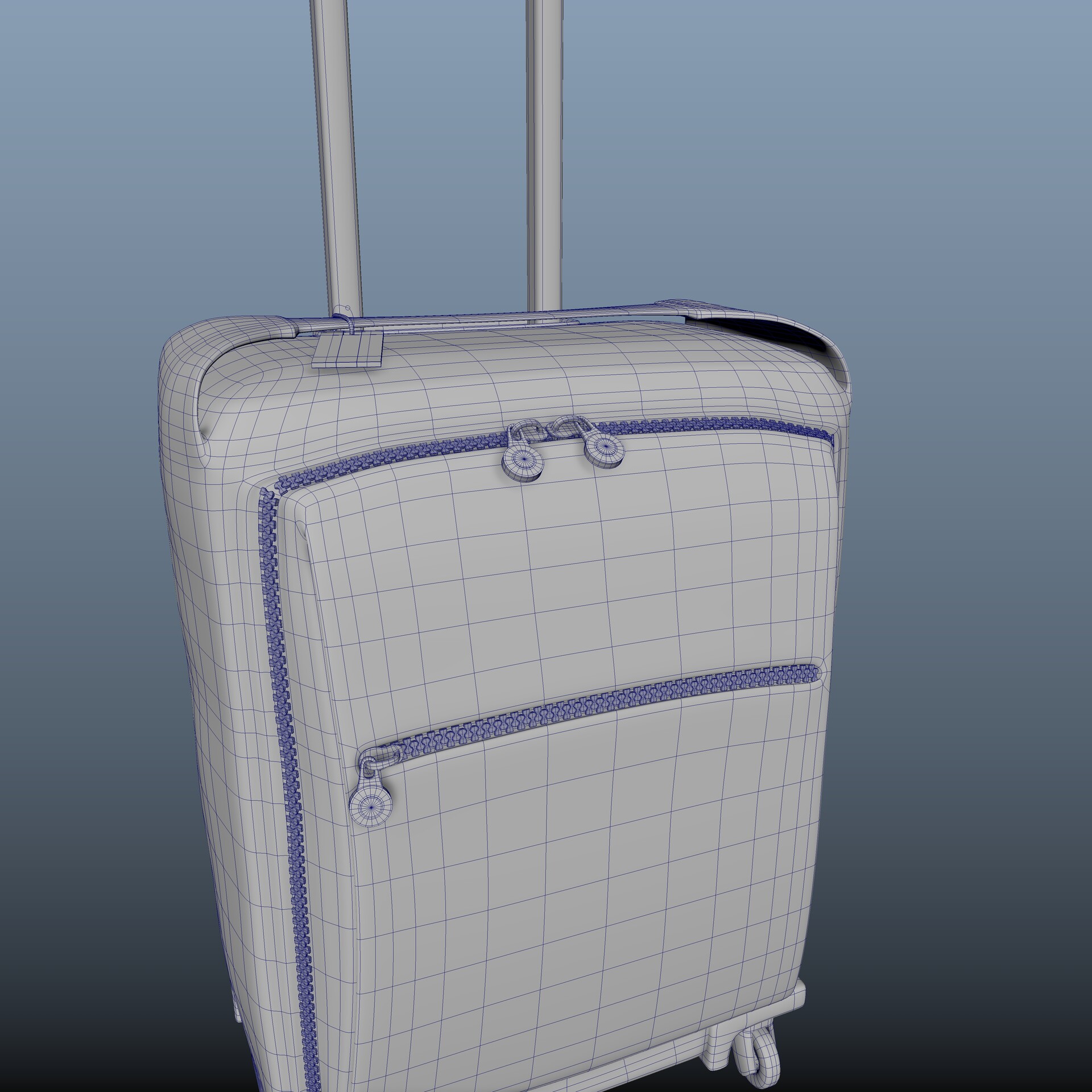 wisdom suitcase