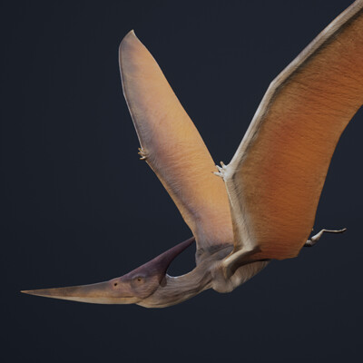 Alexander putilin pteranodon