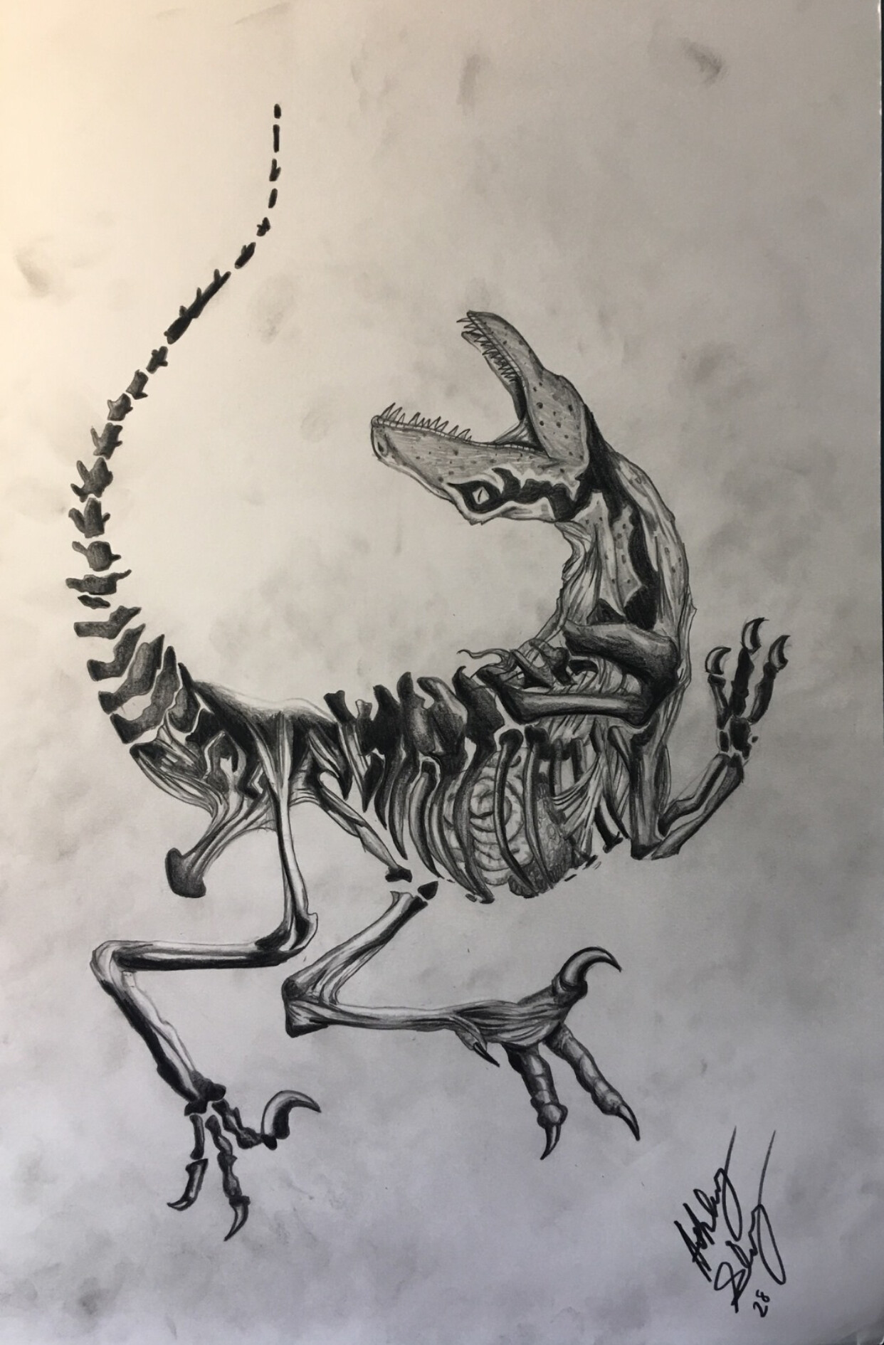 Pterodactyl Skeleton Tattoo