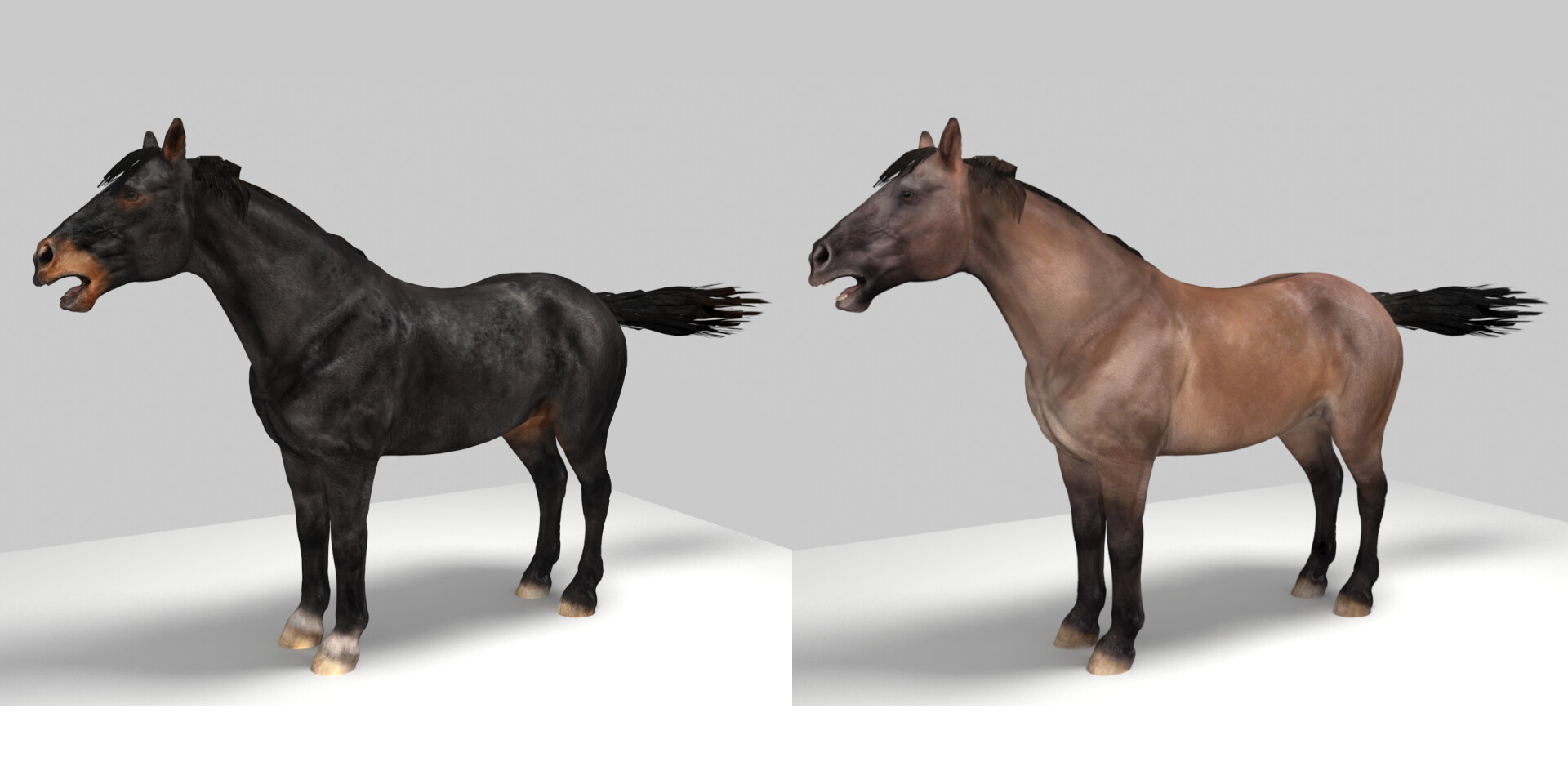 skyrim free horse