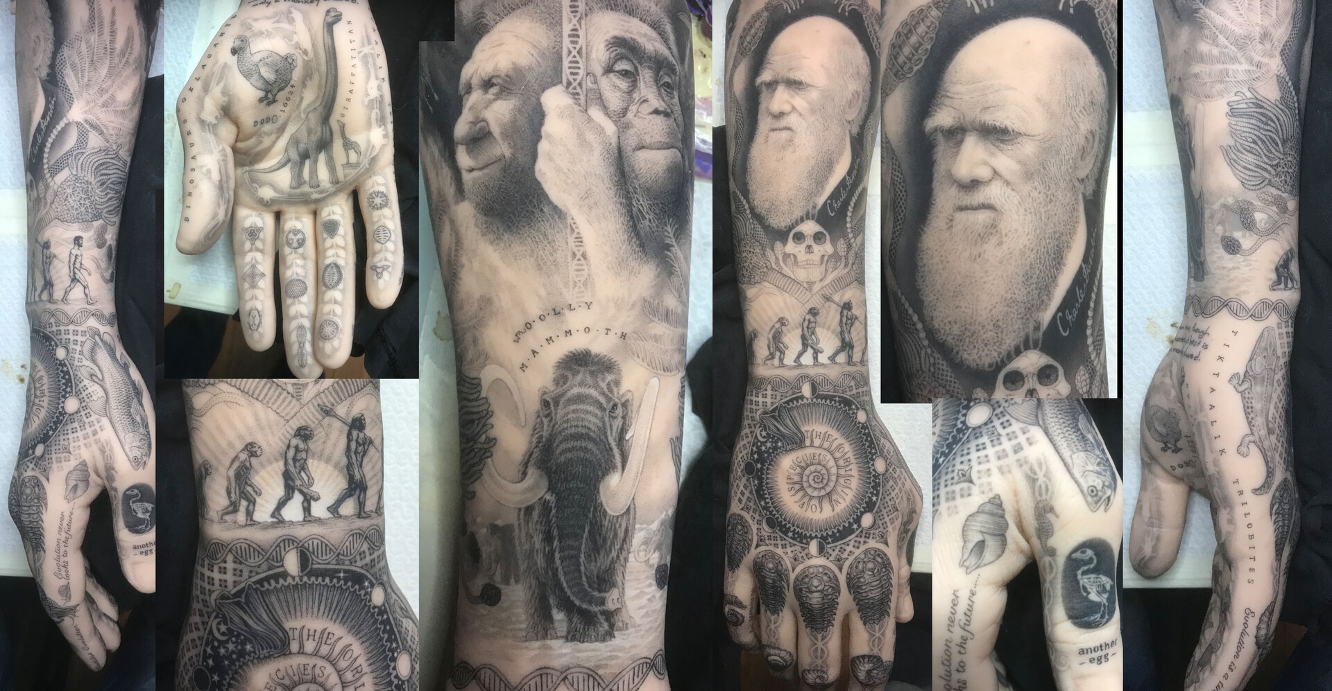 Artstation Evolution Tattoo A Few Others Jasper Schreurs