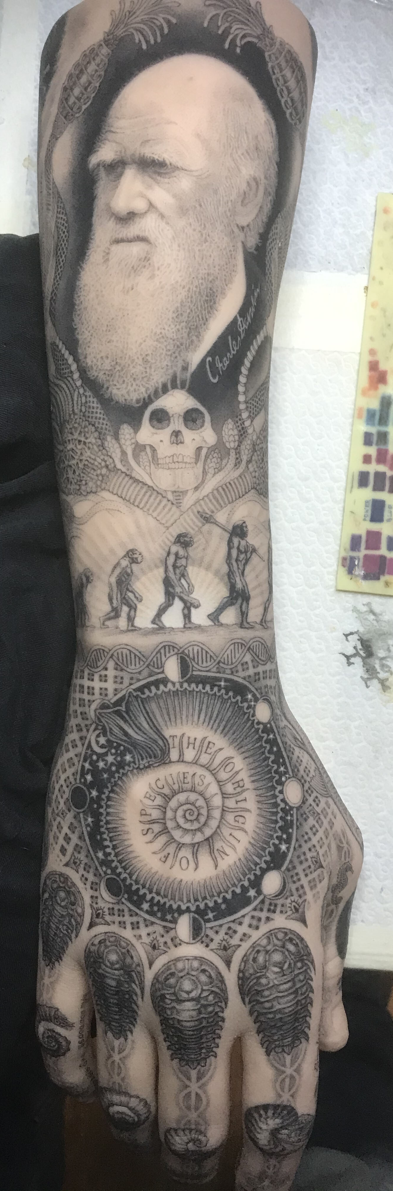 Jasper Schreurs Evolution Tattoo A Few Others