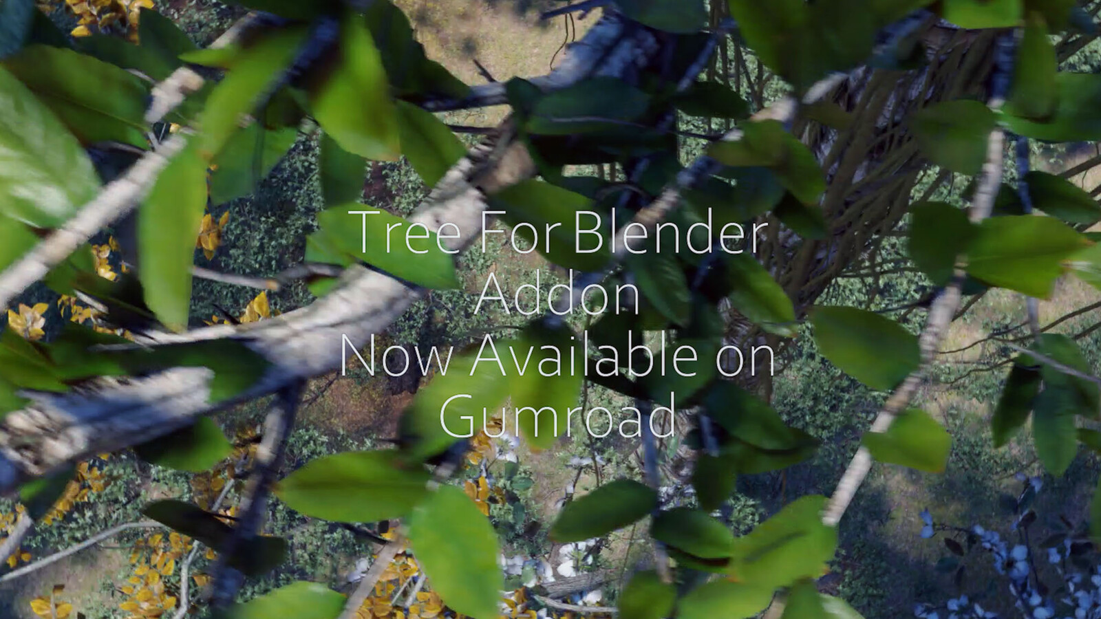 Tree 4 Blender Tree 4 Blender