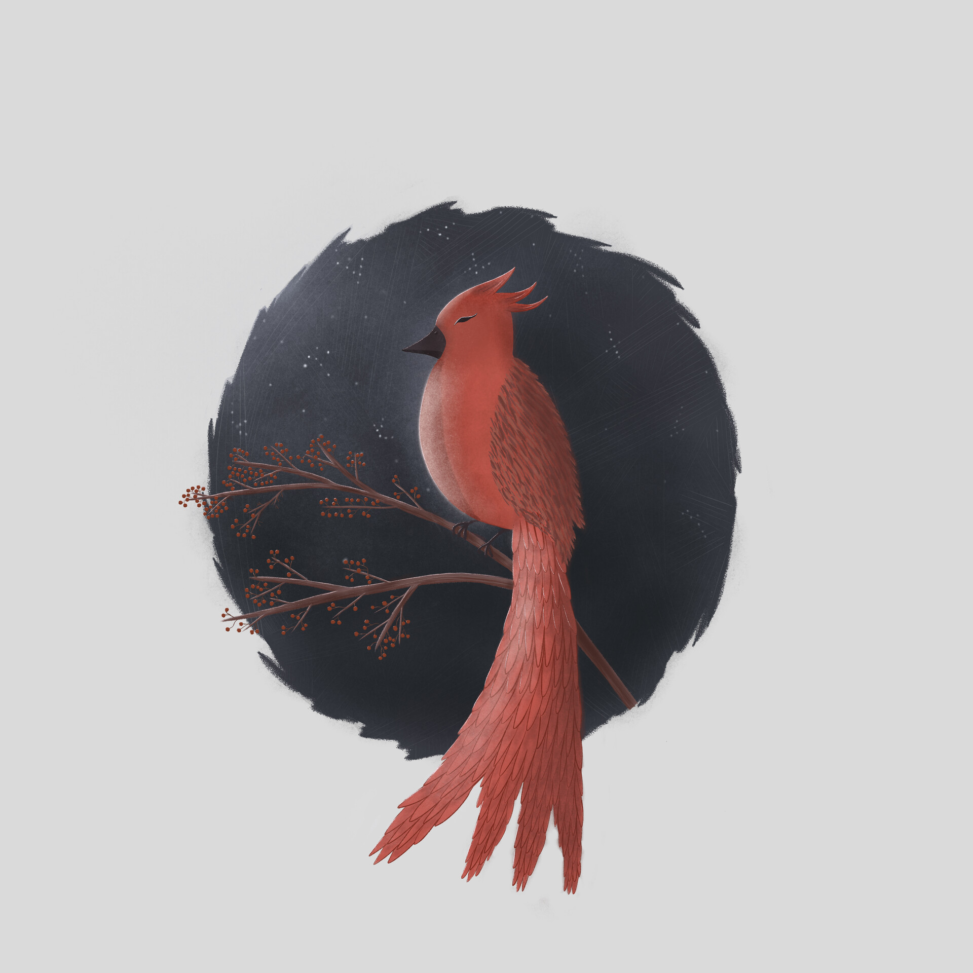 ArtStation - Red bird