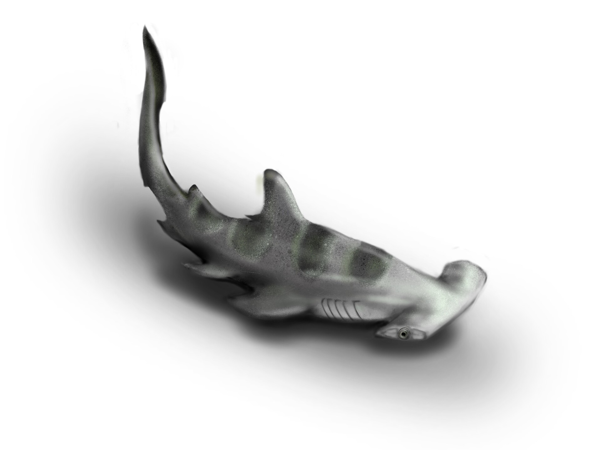 Miguel Anton Filart - Creature Art: Hybrid Leopard Hammerhead Shark