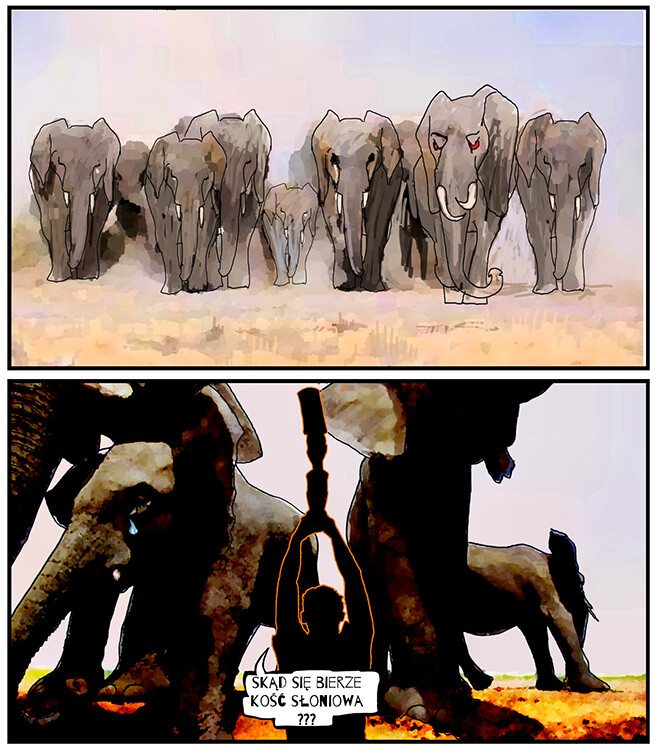 Anna K Teruzzi CITES