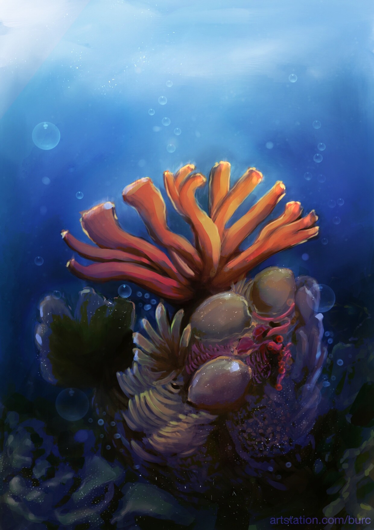 Artstation Coral Reef Burdju Var