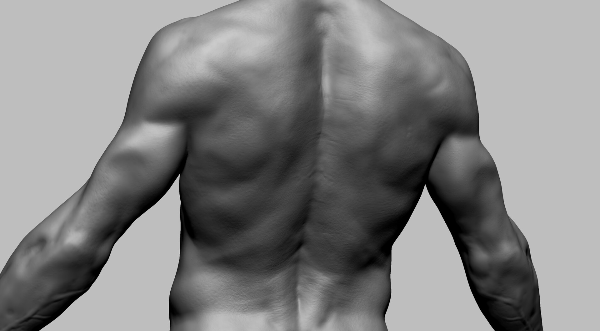 ArtStation - ZBrush Anatomy Tutorial: Sculpting The Back And Torso Muscles