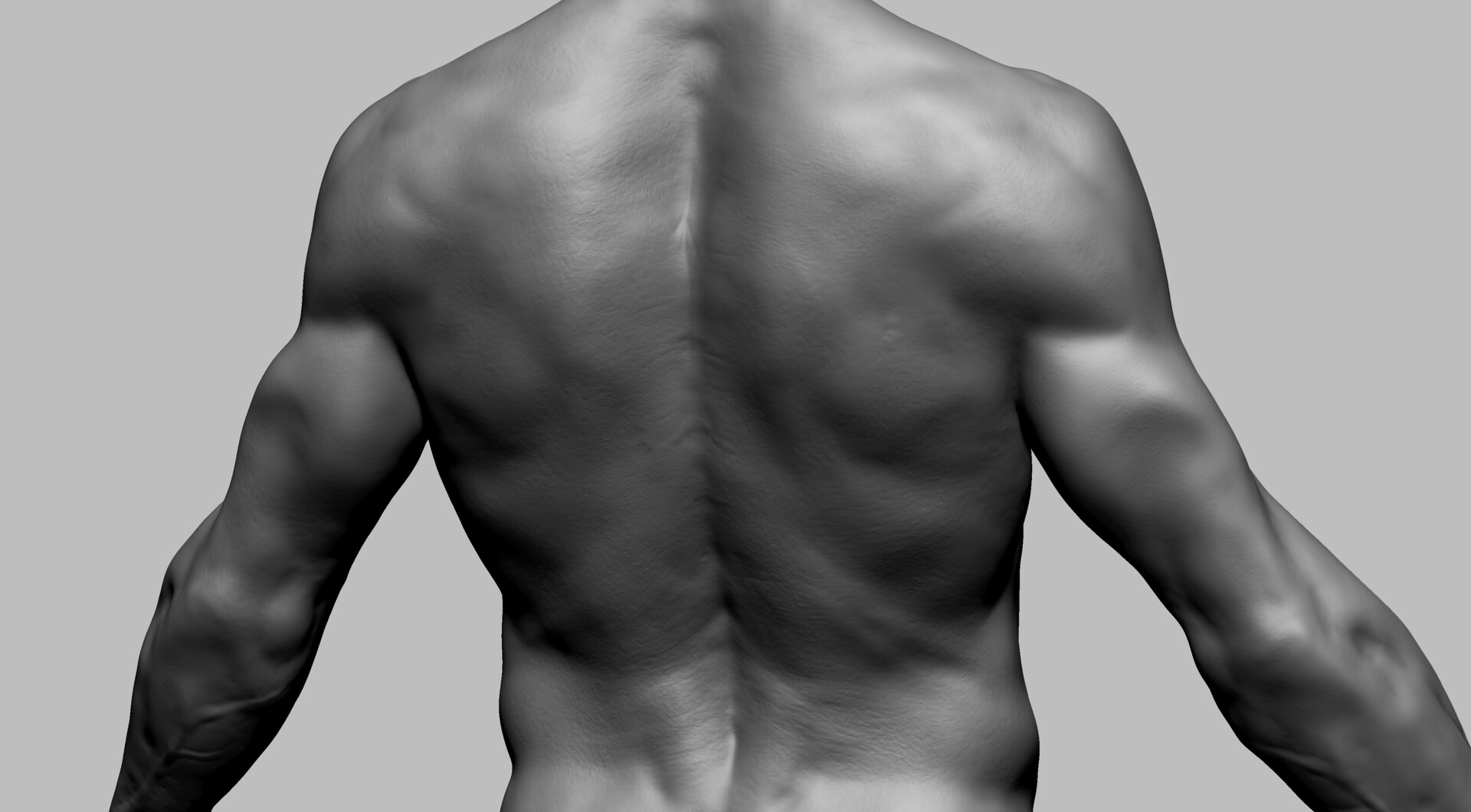 ArtStation - ZBrush Anatomy Tutorial: Sculpting The Back And Torso