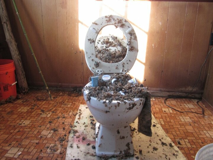 Titled: The slow decay of the yellow ribbons.