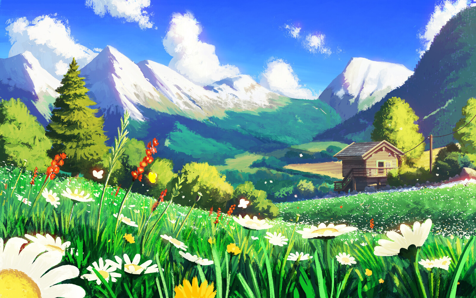 Summer in the mountains