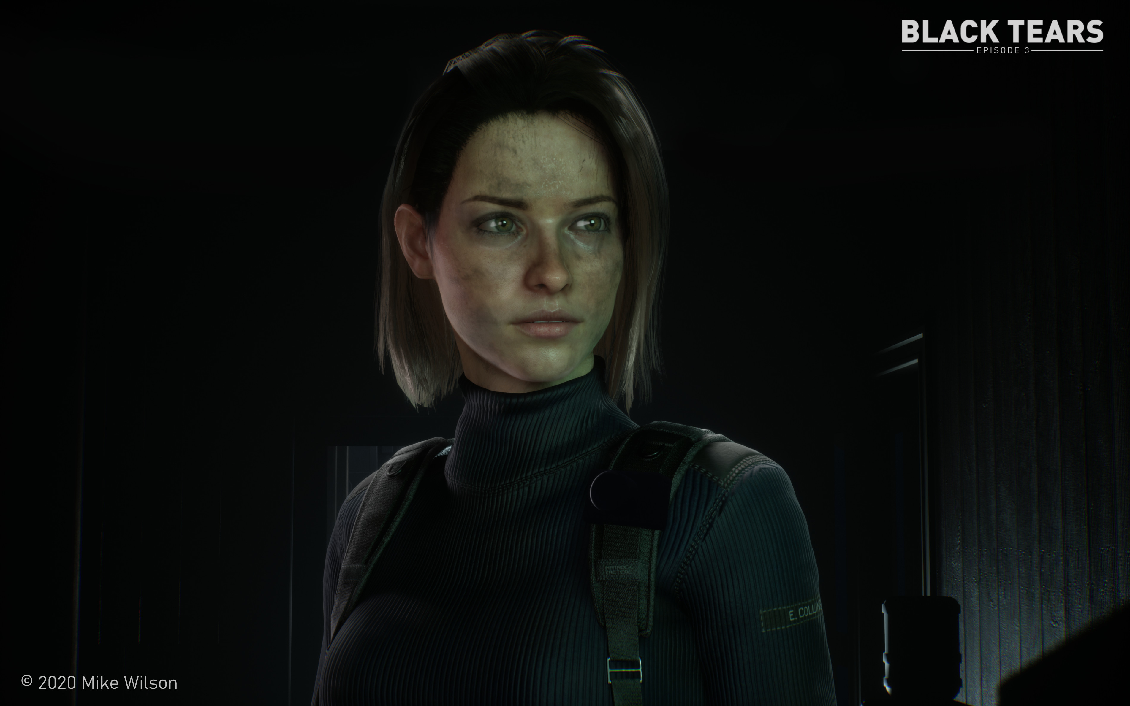 Mike Wilson Portfolio FBI Special Agent Erin Collins