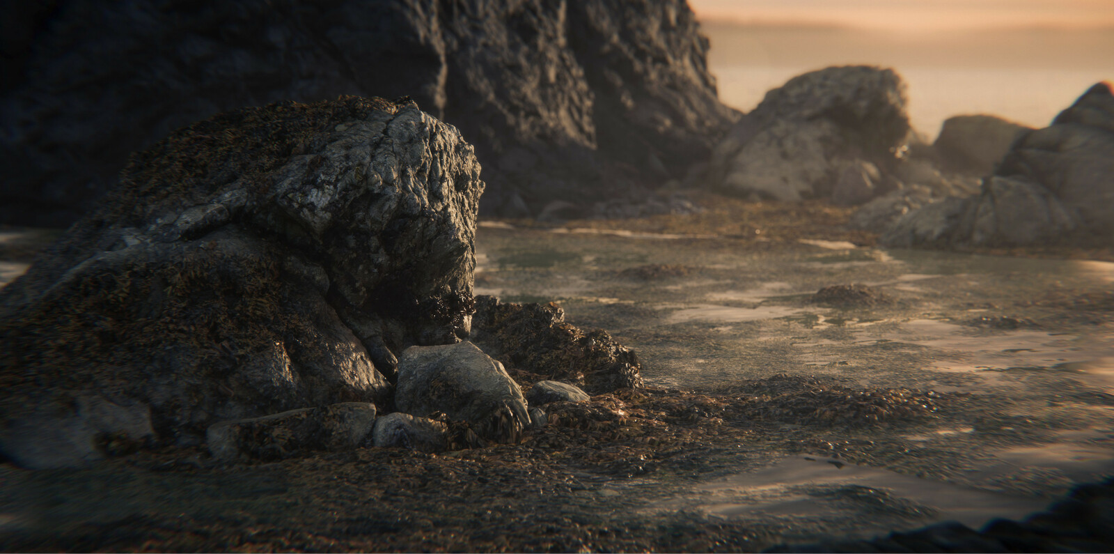 Cape Alava Photogrammetry - Unity HDRP