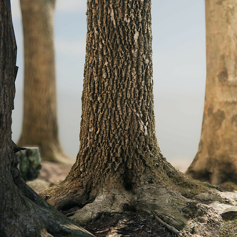 photogrametry unity 2019 photogrametry unity 2019