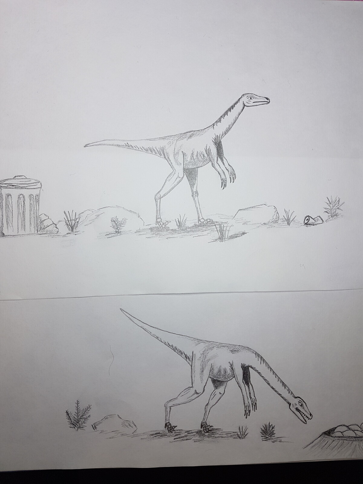 Dinosaurs sketchs