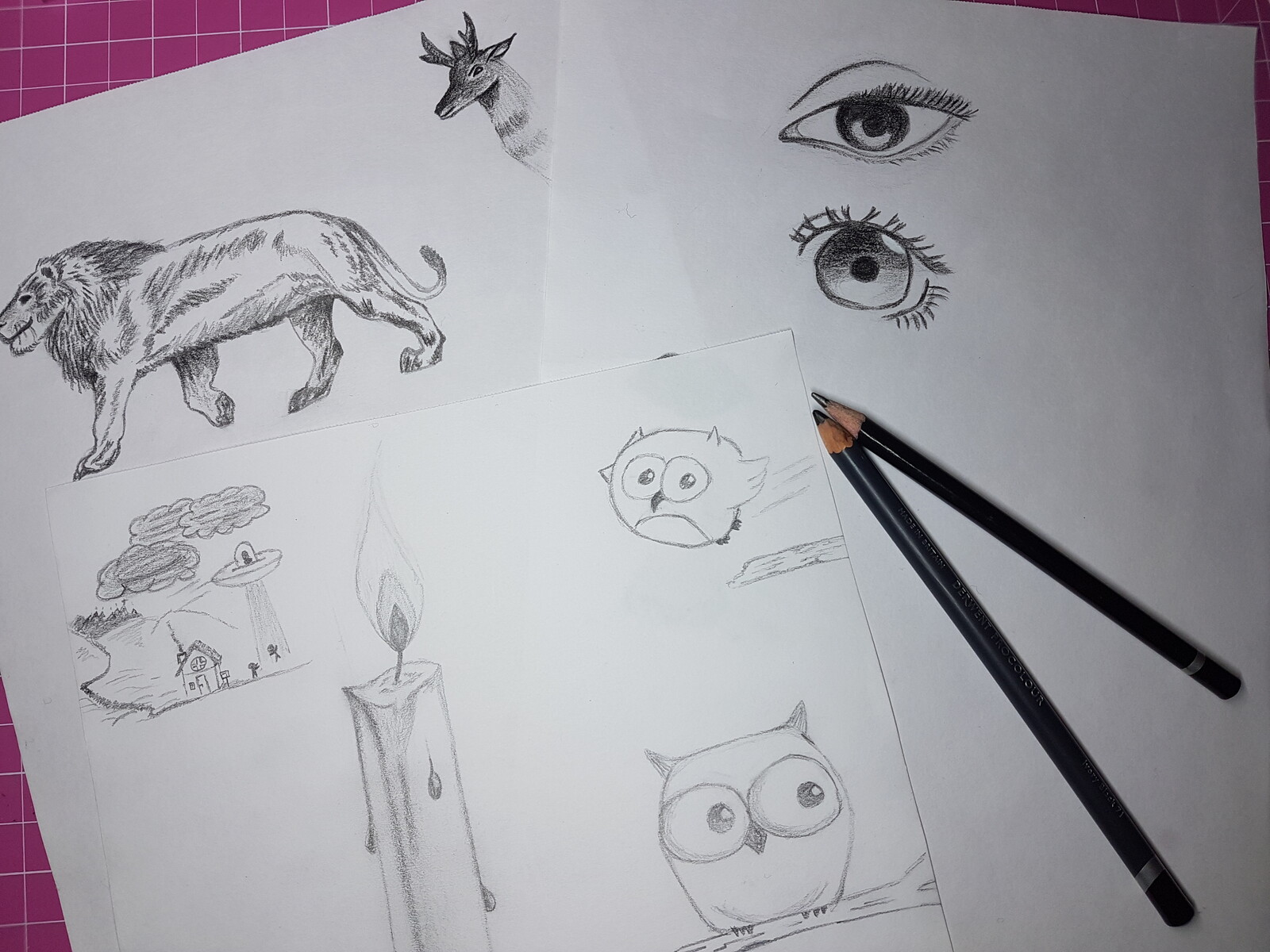 Eyes/Lion/.... sketchs