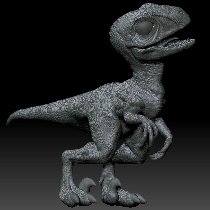 Jarid Norman Baby velociraptor