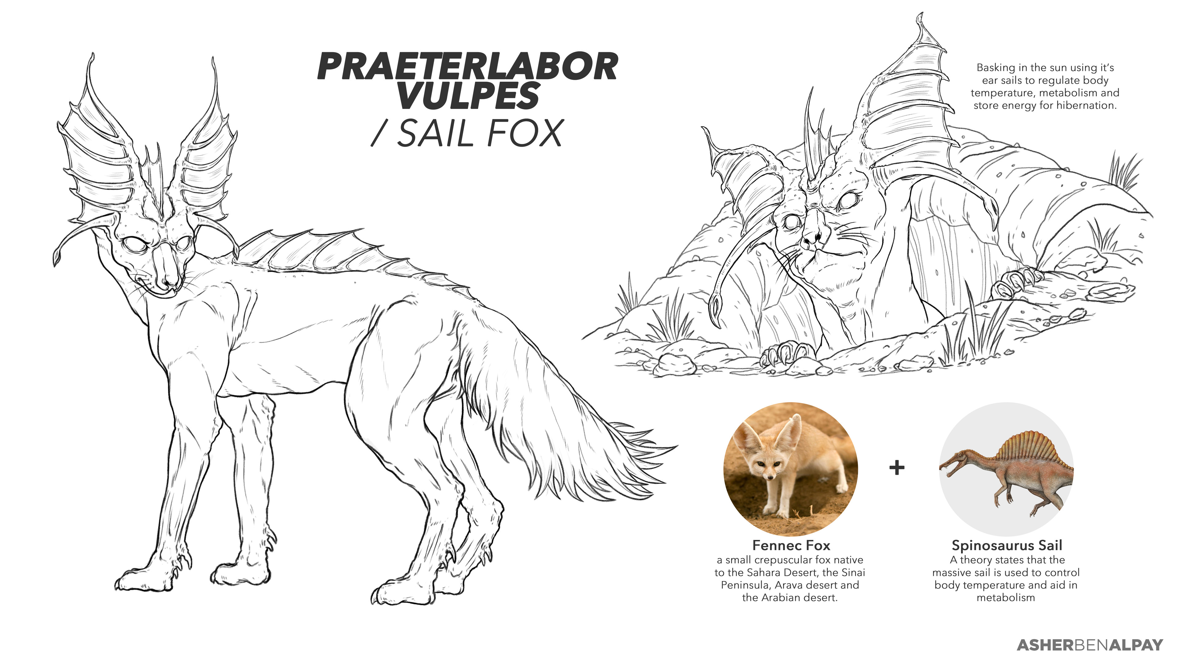 Concept Artist Illustrator And Designer Alien Sail Fox