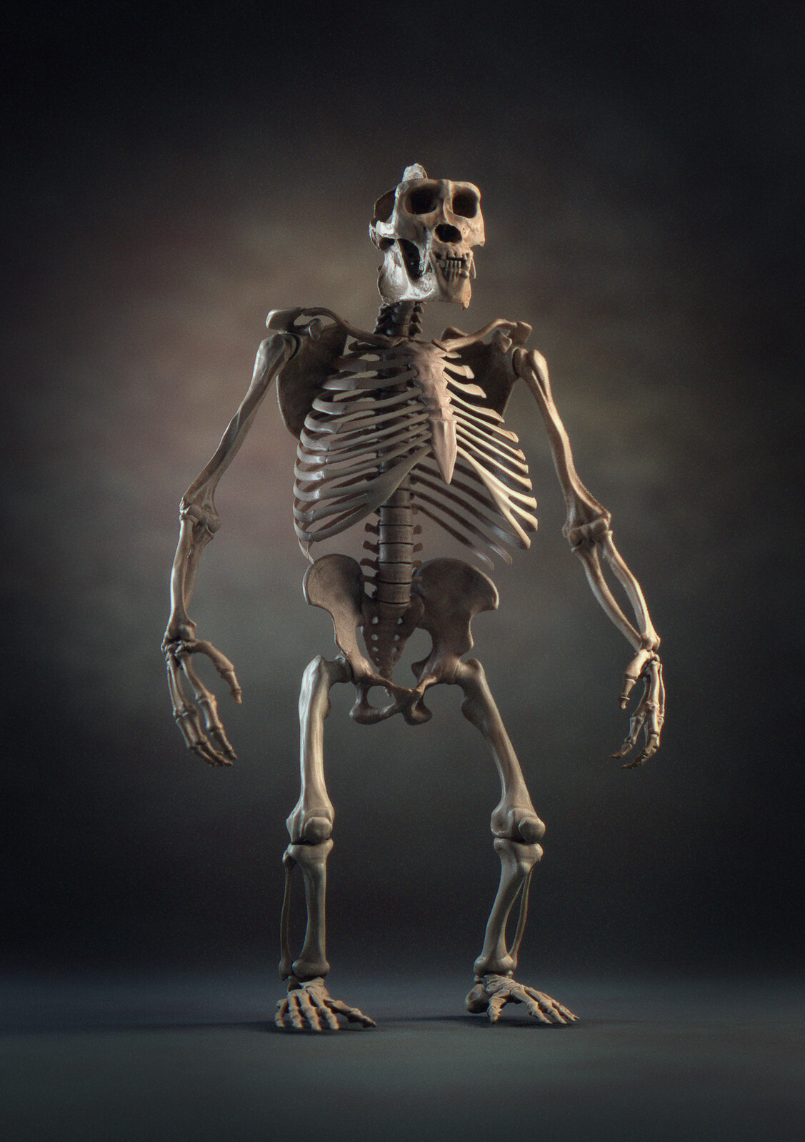 Skeleton available as ZTool
