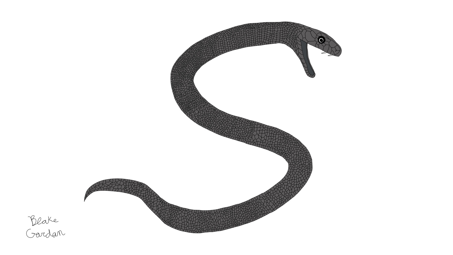 Black clearance mamba drawing