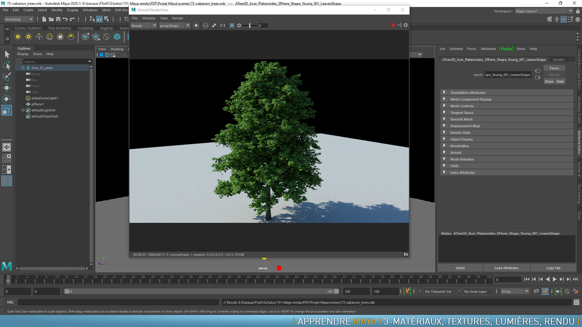 maya render view