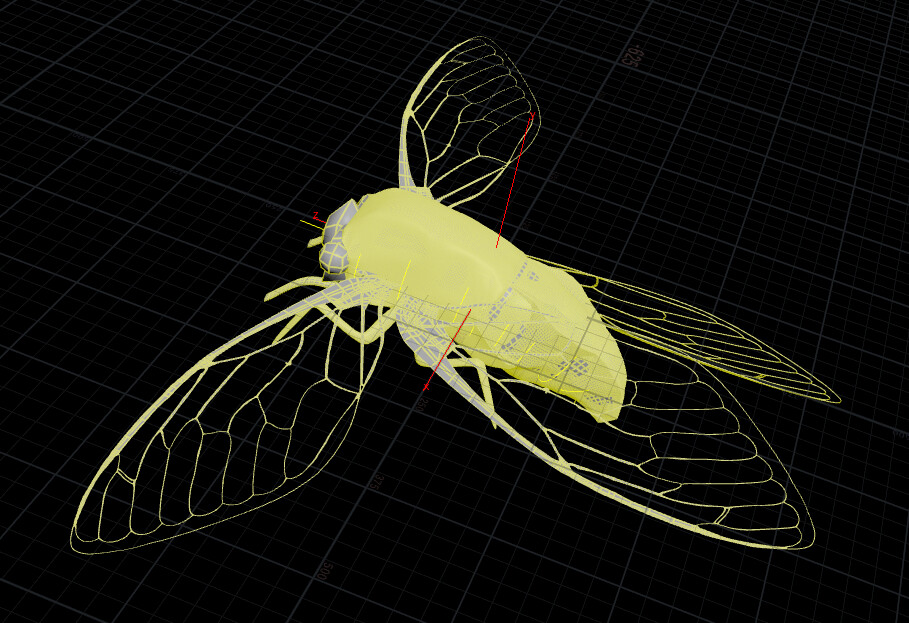 procedural cicada