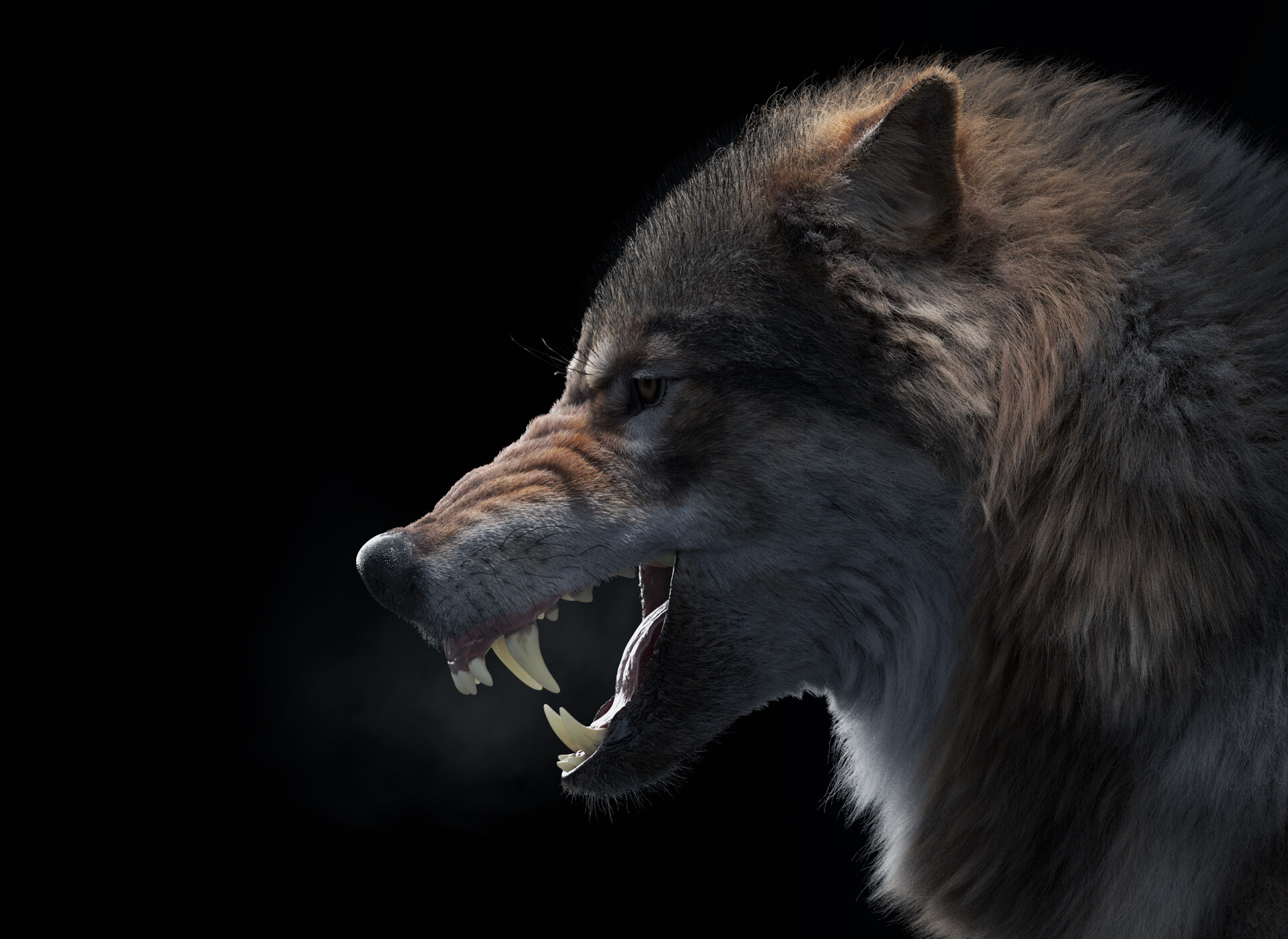 wolf growl profile