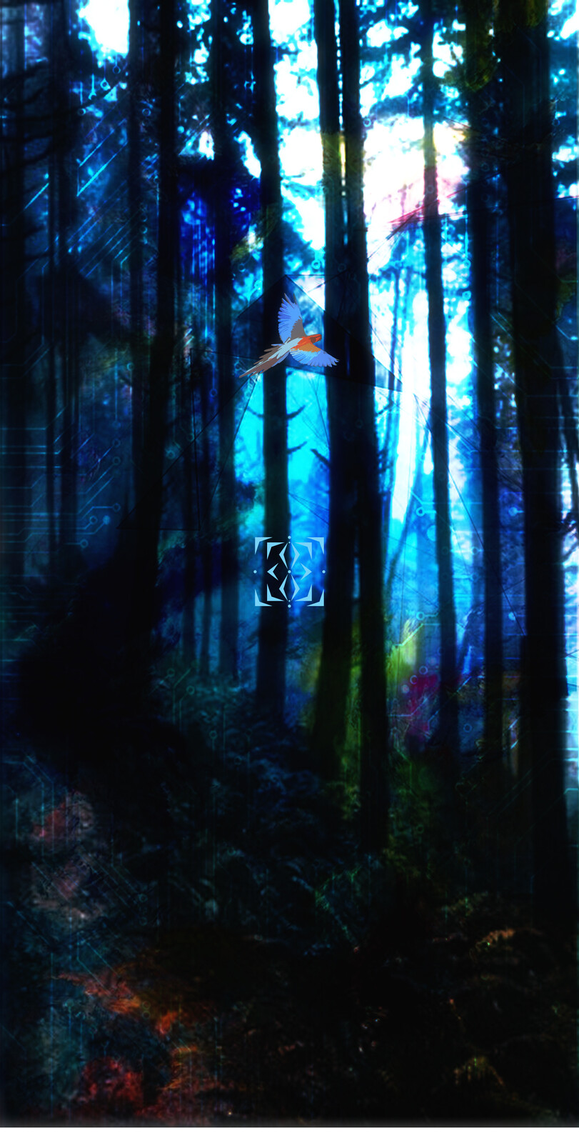 Forests_04
