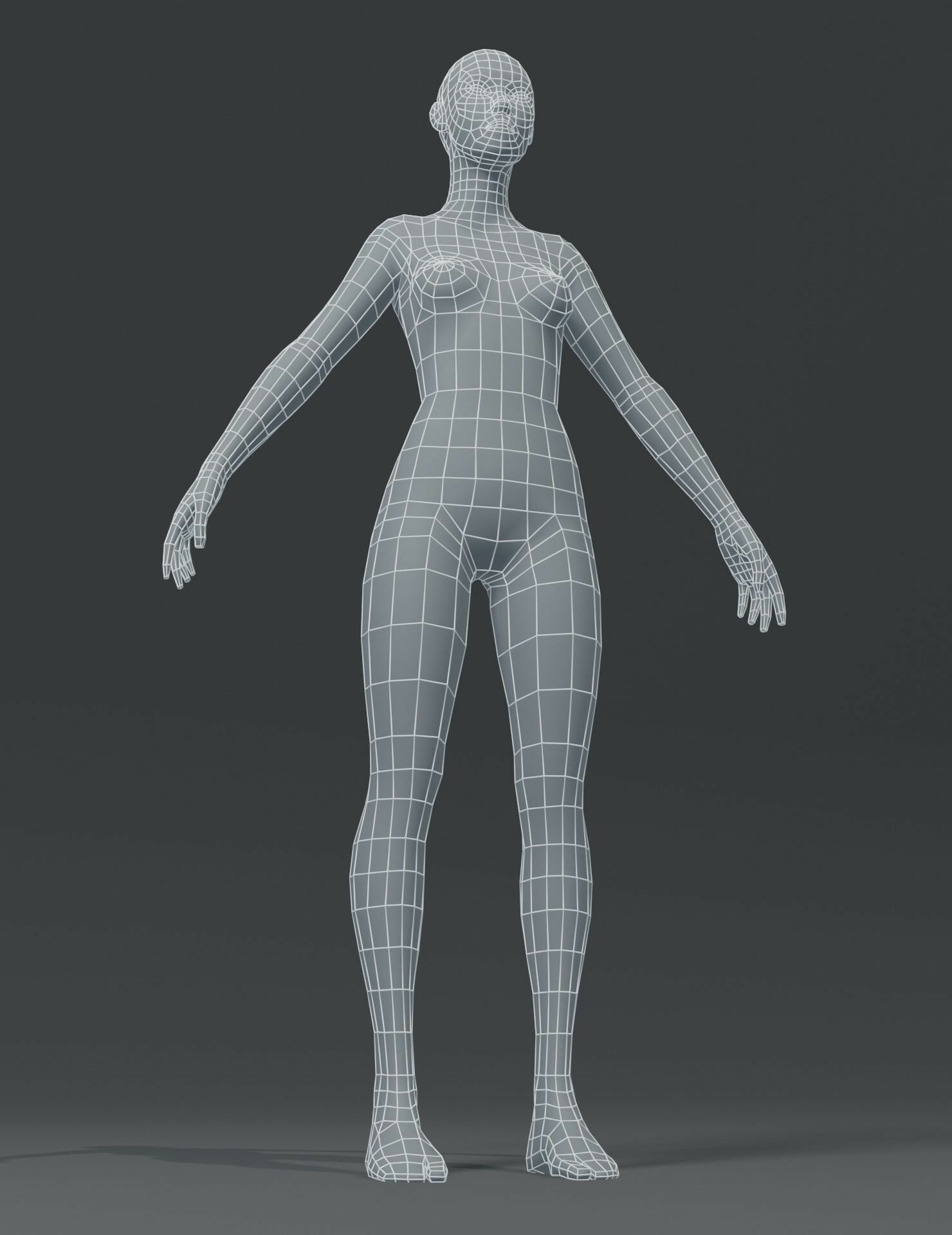 3D Disco - Female Body Base Mesh 3D Model
