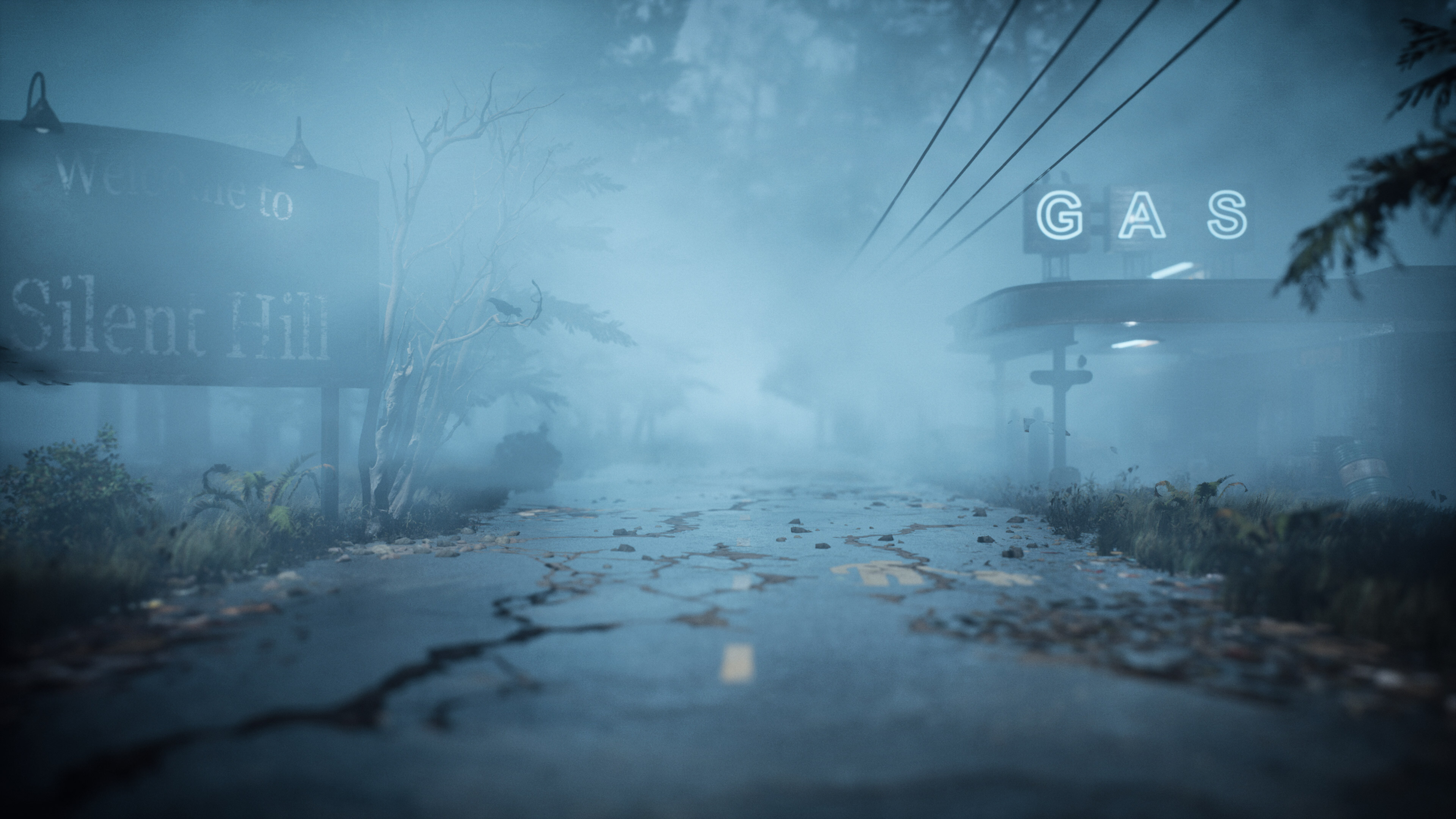 Silent Hill Forest. Сайлент Хилл лес. Silent Hill Fog. Форест 2 интро.