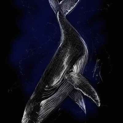 Roxane lapa whale