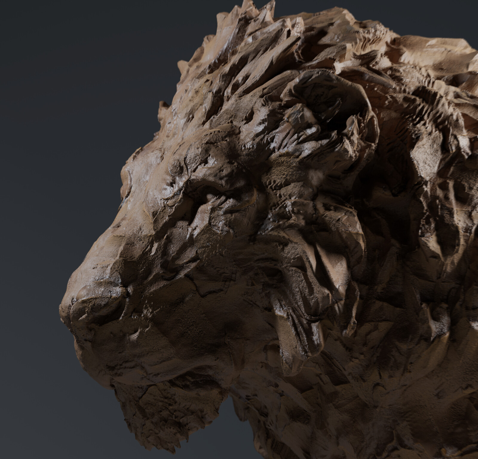 Lion - Head CloseUp