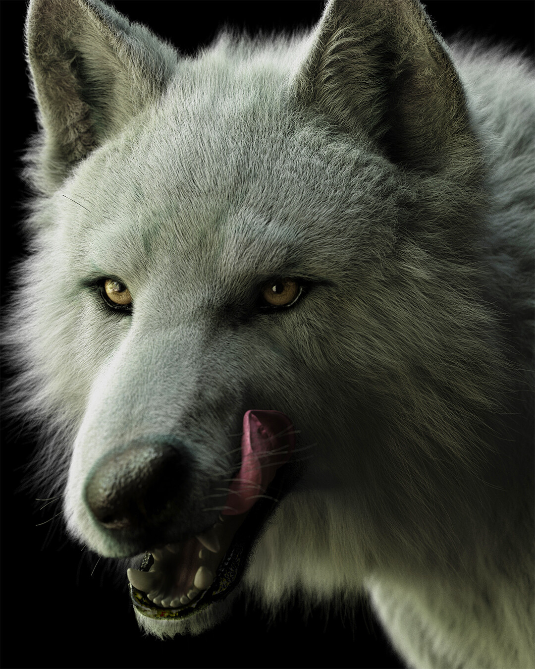 Licking chop (different angle and lighting)