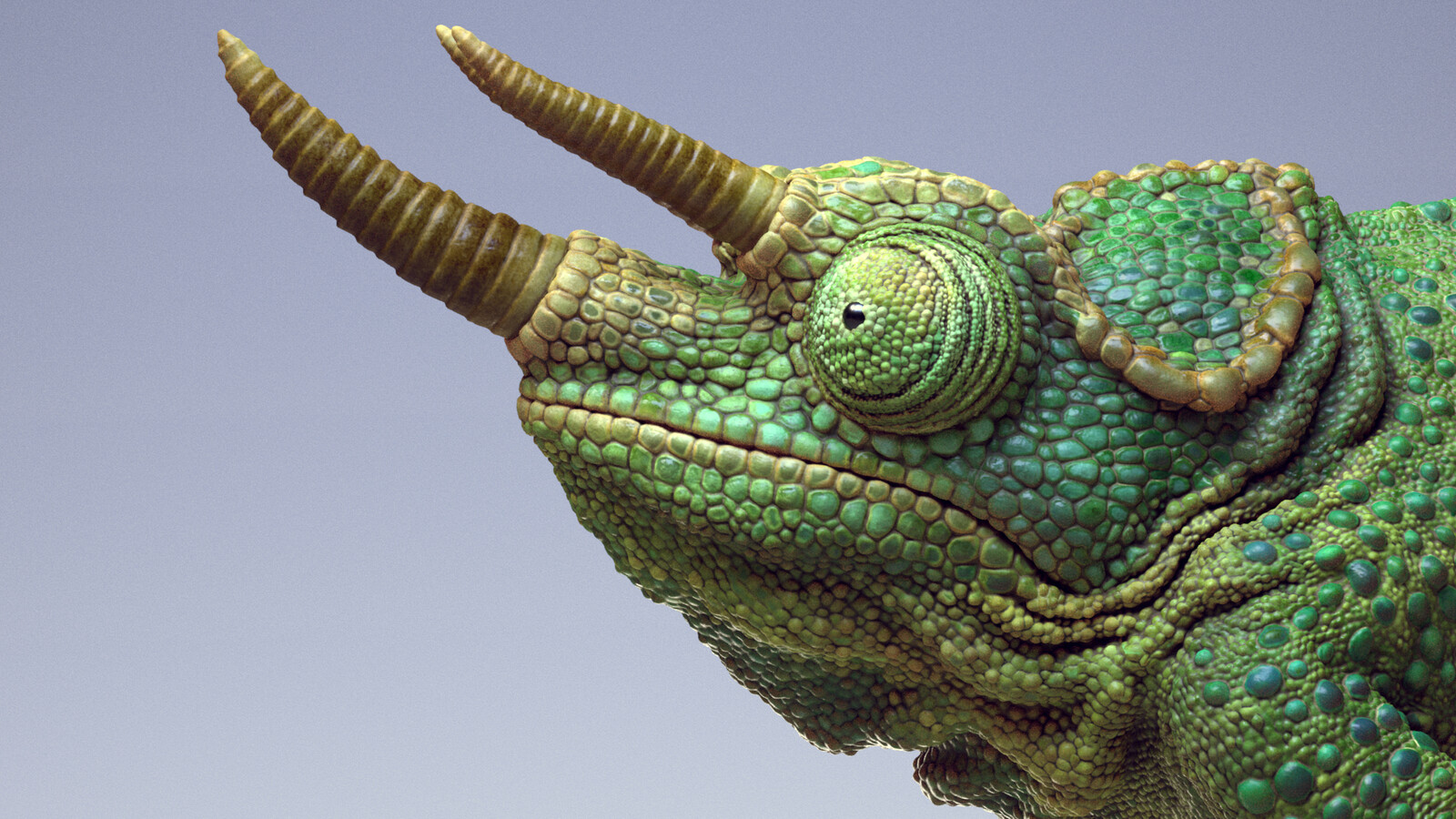 Chameleon Modeling and Mari Texturing Tutorials