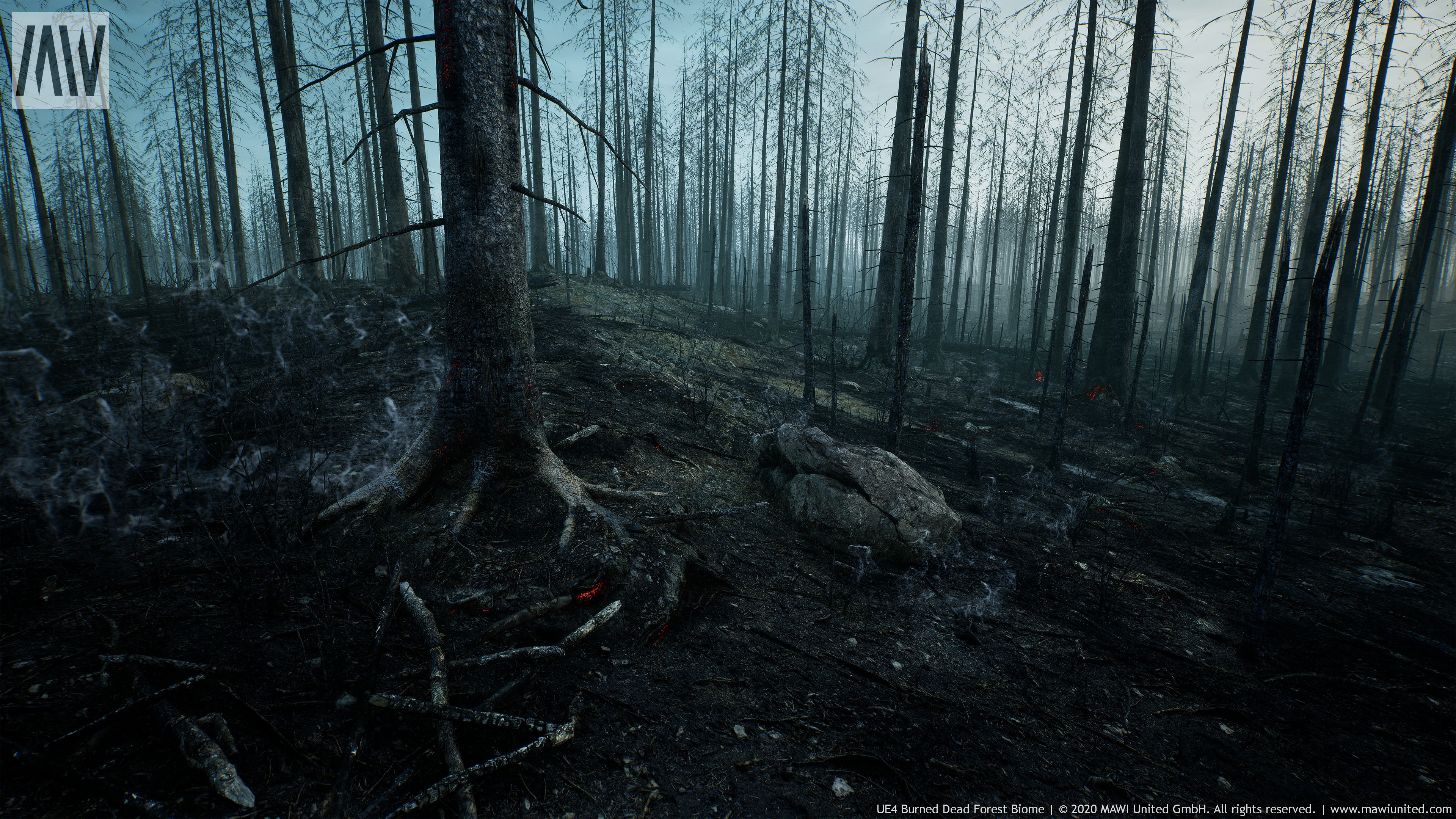 Burned Forest Unreal engine.