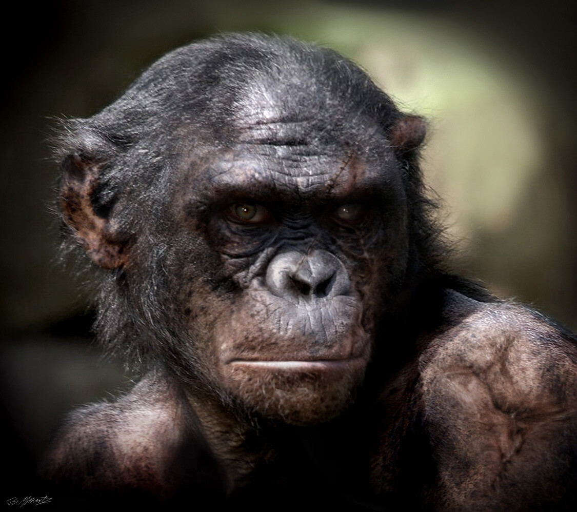 Rise of the Planet of the Apes: Koba Designs