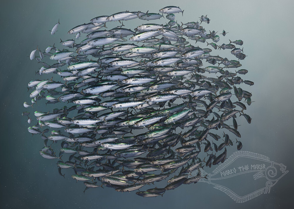 ArtStation Atlantic mackerel school