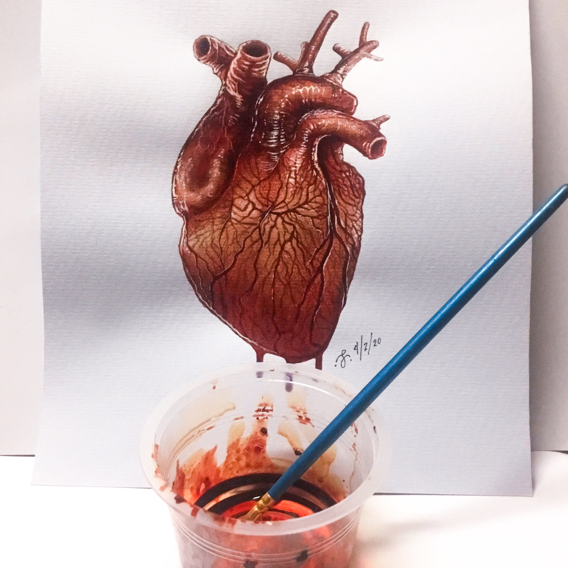 Closeup Multicolored Pencil Drawing Crayon Hand Drawn Anatomic Portrait Of  One Blood-red Carmine Human Heart Cardiac Chamber With Great Vessels On  Texture Paper Over White Background, Vertical Picture Stock Photo, Picture  and